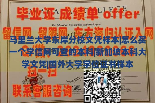 马里兰大学东岸分校文凭样本|怎么买一个学信网可查的本科|新加坡本科大学文凭|国外大学学位证书样本