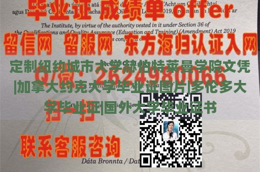 定制纽约城市大学赫伯特莱曼学院文凭|加拿大约克大学毕业证图片|多伦多大学毕业证|国外大学毕业证书