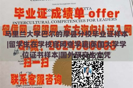 马里兰大学巴尔的摩县分校毕业证样本|留学生在学校官网查学籍|英国大学学位证书样本|国外研究生文凭